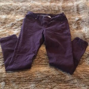 Maroon colored Jeggings